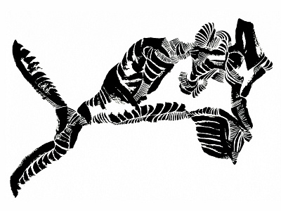 Fierce Fish abstract abstract art black and white coastal design fish illustration ink ocean sealife surface design texture