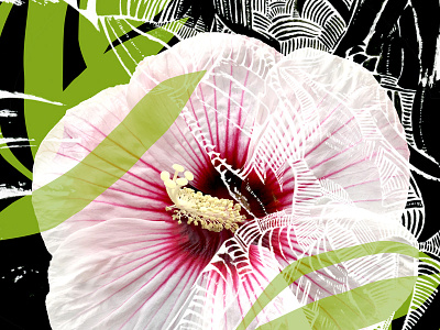 City Flower abstract abstract art botanical city conservation design drawing flowers geometry hibiscus illustration ink interior design nature plants surface design