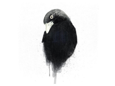 Raven sketch edgar allen poe halloween raven sketch