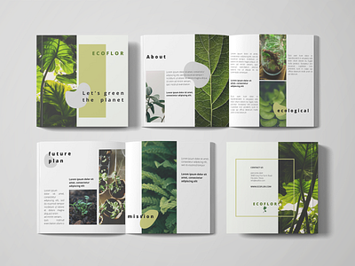 Ecoflor Booklet branding color design digitalart illustration logo nature typography ui