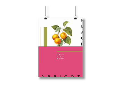 Peach branding design illustration poster poster design typography