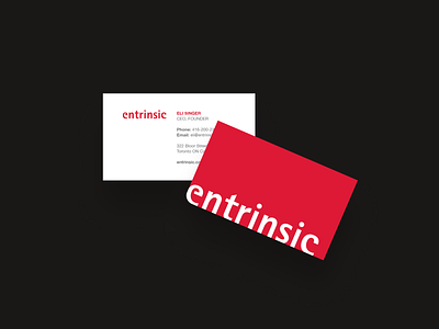 Entrinsic business card and promo pamphlets