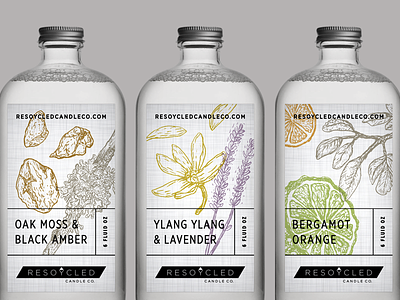 Reed Diffuser Preview clean illustration natural packaging scientific typography