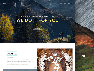 Travel site more elements alaska bear concept homepage landing landing page nature travel website