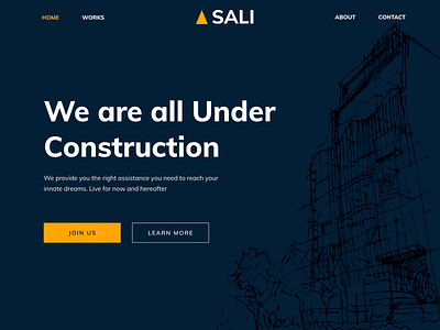 SALI Landing Page design ui