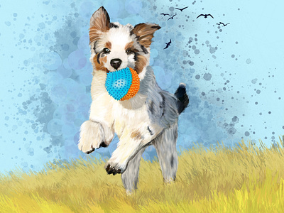Fluffy dog design dog drawing dribble illustration illustrator nature play procreate puppy sketch