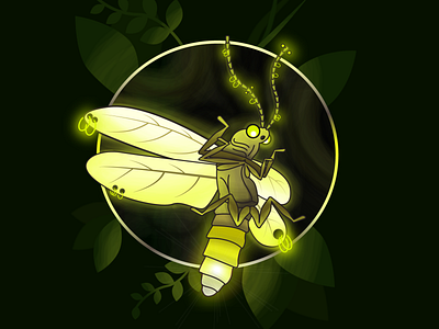 cricket bug cricket illustration illustrator light