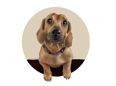 dachshund dachshund dog draw illustration paint paint tool sai realistic sai