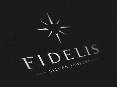 Fidelis design diamond identity jewelry logo shine silver stone typography unused