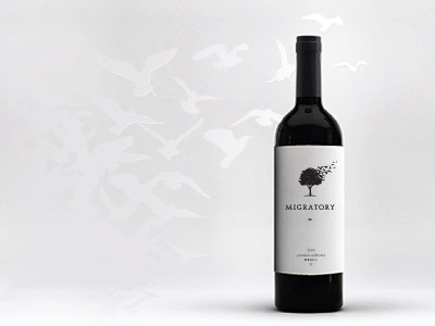 Migratory wine concept mark design logo tree wood bird fly migratory wine vine bottle unused grape label sticker wine label packaging package leaf illustration