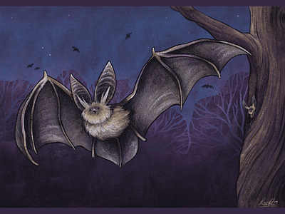 Bats animals bats childrens illustration digital art editorial illustration procreate