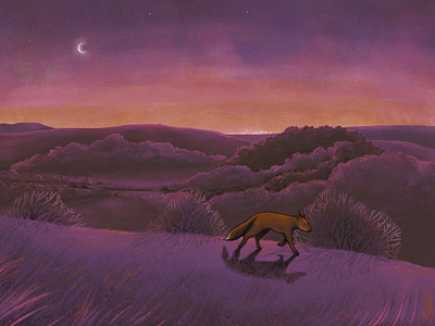 Fox on the hill animal book illustration digital art editorial illustration fox procreate