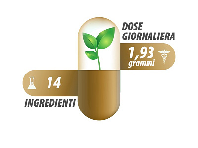 Economic Ingredients Icon Illustration illustration