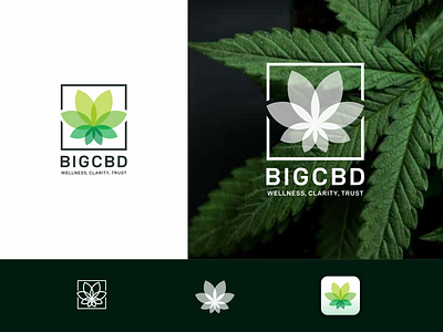 BIGCBD logo app branding design flat icon illustration logo minimal vector website