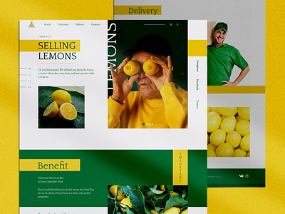 Sale of lemons landing page lemons site ui ux web design