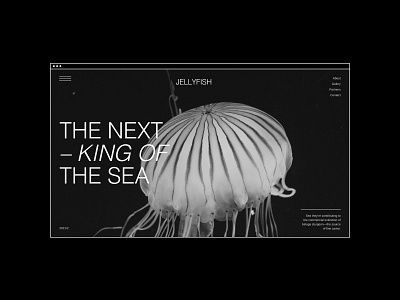 Jellyfish longread branding motion graphics ui ux we web design