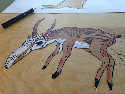 saiga antelope animals cut out illustration