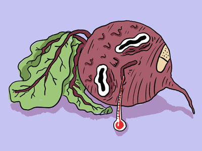 That's a Sick Beet beet drawing funny illustration joke pun sick