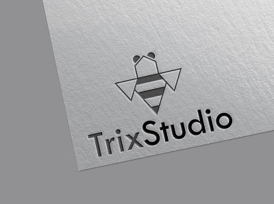 Trix Studio Logo creative design creative logo creative logo design flat logo flat logo design logo logo design logo designer logos minimalist logo
