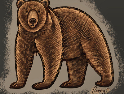 Stylized Bear bear block cut cartoon digital illustration drawing ipad pro lithograph procreate stylized woodland