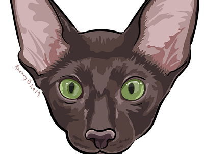 Mochi cartoon cat character digital digital art digital illustration illustration pet portrait procreate