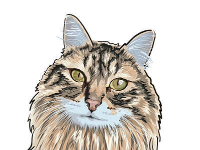 Sushi cat digital digital painting illustration pet portrait procreate art