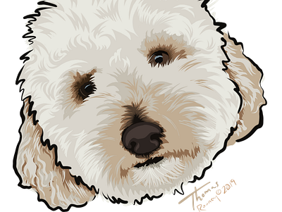 Thomas cartoon digital dog illustration pet portrait procreate art