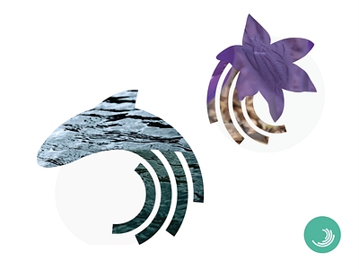 DHP Brand illustrations 2 brand illustration circles collage conservation consultancy design fish flower illustration mammal nature science
