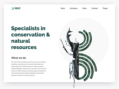 DHP Conservation website brand illustration collage conservation consultancy environment illustration nature science species ui web