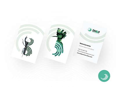 DHP Conservation business cards brand illustration business cards consultancy design illustration logo nature print science