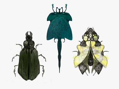 Fantasy insects