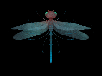 Surreal Dragonfly I