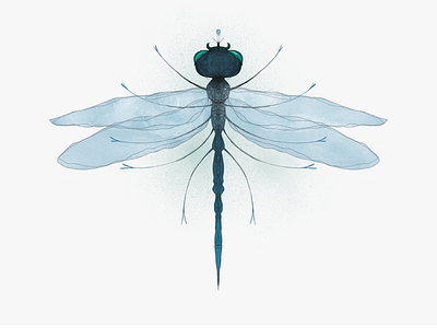 Surreal Dragonfly III digitalart dragonfly fantasy freelance illustrator illustration imagination insect nature personal project procreate surreal symmetry