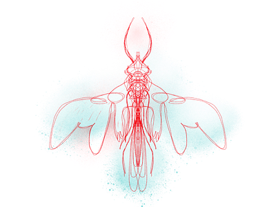 Red and aqua insect aqua concept art creature digitalart fantasy freelance illustrator illustration imagination insect lineart nature personal project playful procreate red surreal symmetry