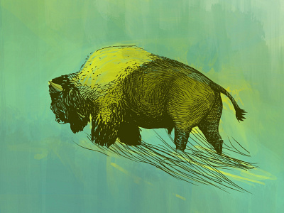Lonely walk animal bison detailled digitalart freelance illustrator illustration lineart lonely nature procreate walk walking