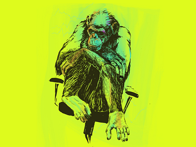 Wall Street Ape