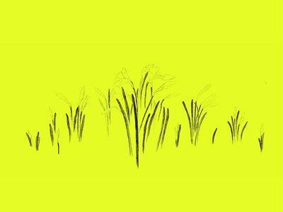 Daffodil season daffodil digitalart flower growth illustration nature procreate spring