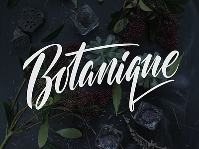 Botanique - lettering logotype branding calligraphy cyrillic identity lettering logo script type typography