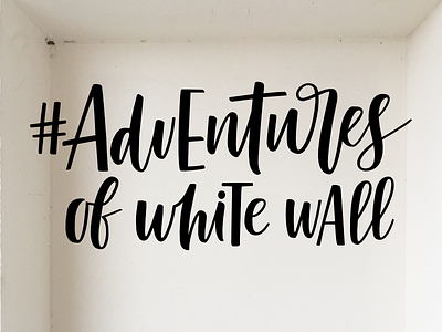 Adventures of white wall