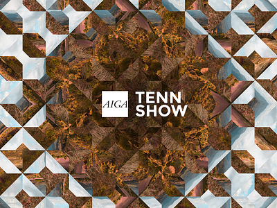 Tenn Show Idea aiga branding comp psychedelic