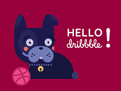 Hello dribbble !!! bulldog dog frenchbulldog hellodribbble illustration illustrator vector