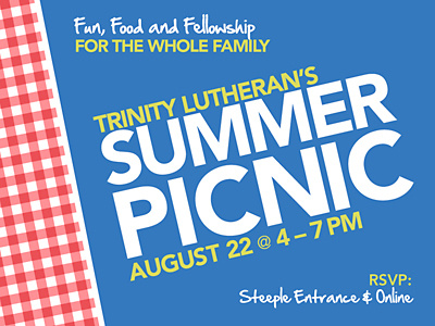 Summer Picnic gingham pattern picnic summer summer picnic trinity
