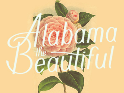 Alabamathebeautiful alabama beautiful camellia process type