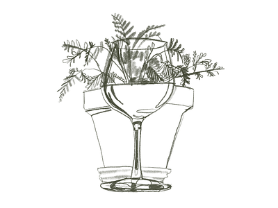Nightstand drawing evening fern houseplant illustration lifedrawing naturalistic procreate quick sketch sketch sketching stilllife texture wine