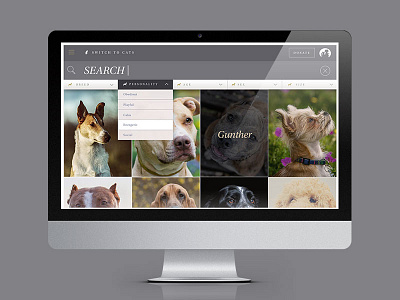 IP Operation Kindness Website: Search Menu animal cat design dog graphic mock shelter ui ux web