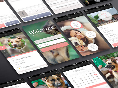 Okkindness Final App Presentation animals display dogs interactive mobile screen shelter ui ux