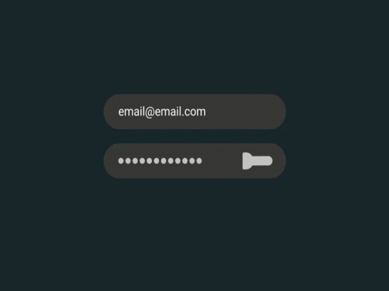 Show Password animated gif animation icon logo ui