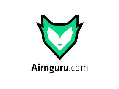 Airnguru.com .com airplane brand fox green