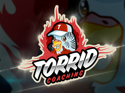 Torrid Coaching Cartoon Logo By Avoltha animal animallogo bird cartoon cartoon character cartoon illustration cartoonlogo coach coaching coachinglife coachingtips customlogo design illustration torrid