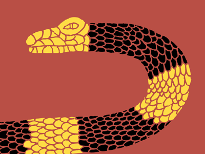 sssnake illustration oldnewproject snake
